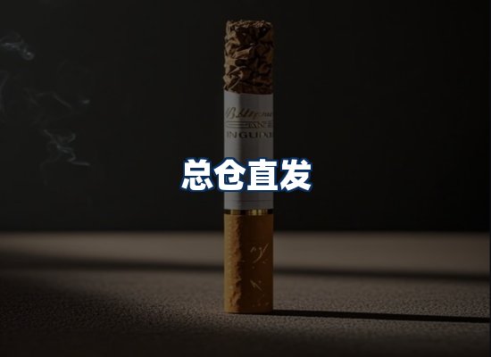 专业团队办公环境